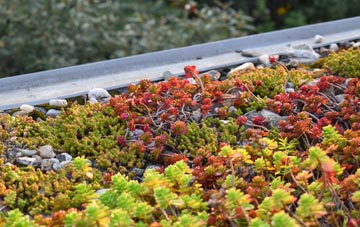 the cost of Brochel green roof installation